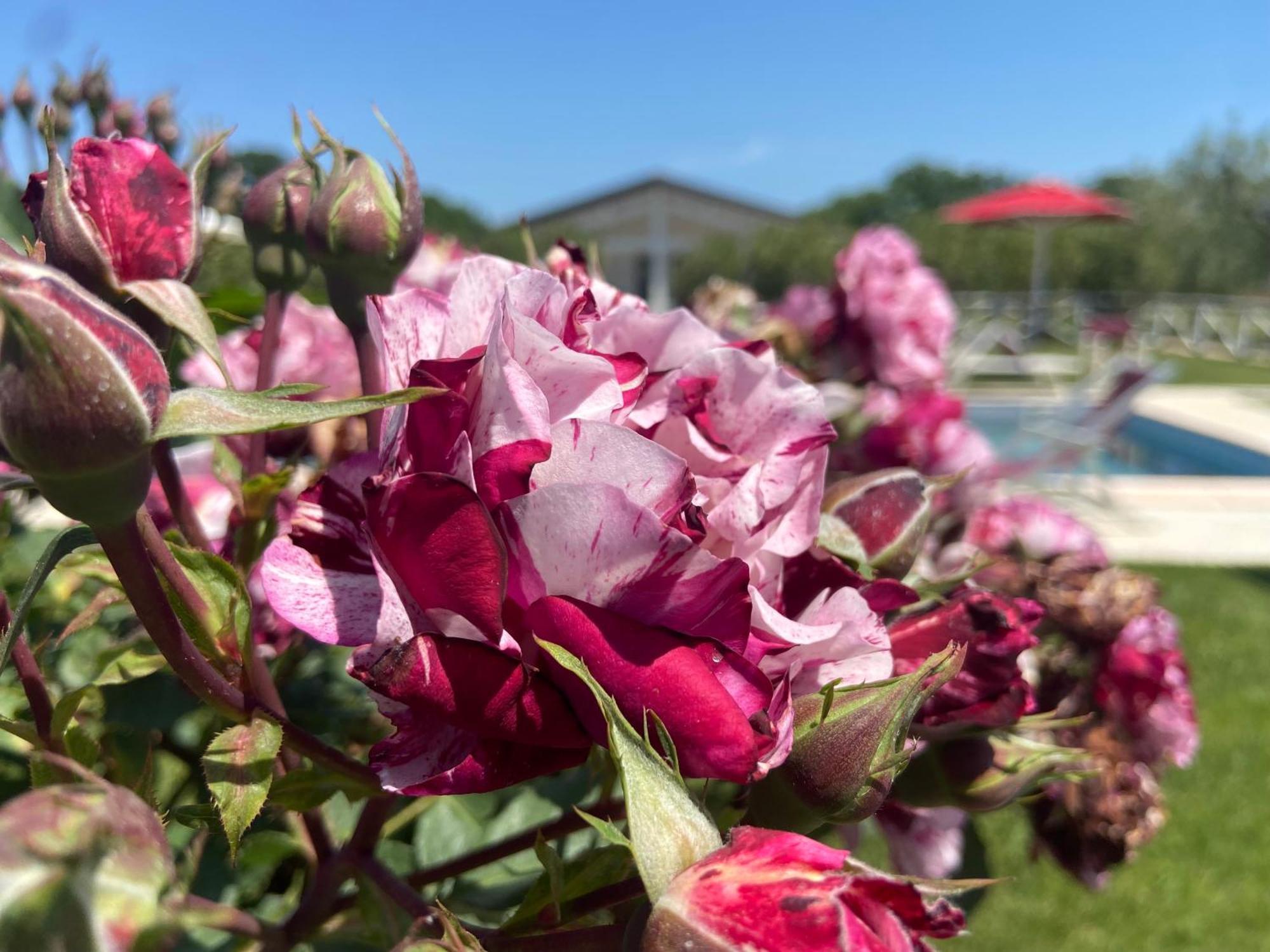 דונוראטיקו Agriturismo Re Di Fiori מראה חיצוני תמונה